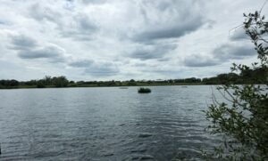 Etang de Beaubourg